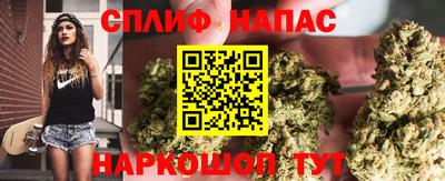 mdma Камышлов